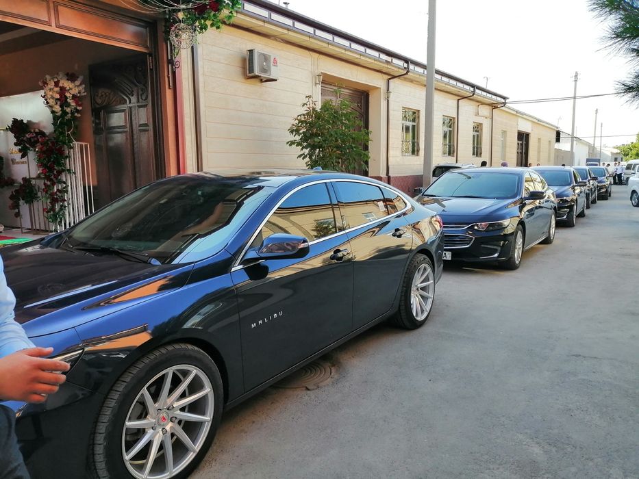 Туй ва маросимлар учун малибу 2 хизматингизда