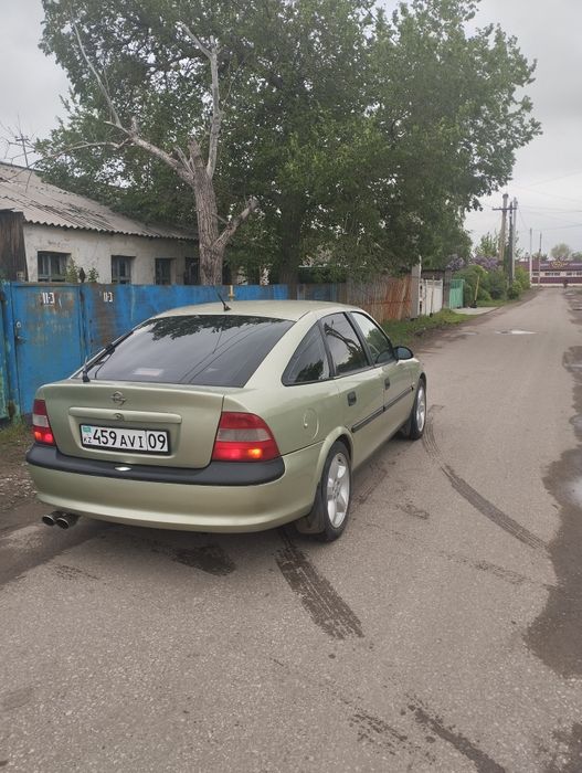 Срочно продам Орель вектра Б