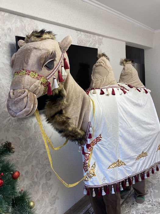 Прокат костюм верблюда