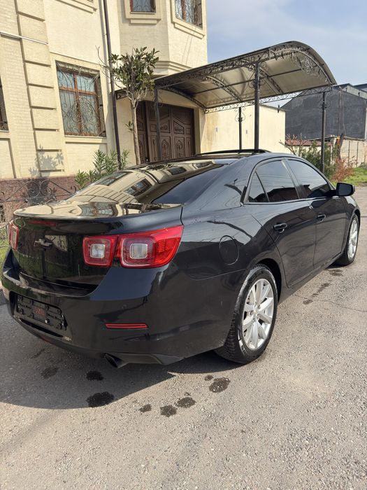 Малибу 1 позится 3