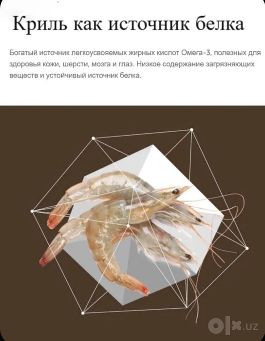 Сухой корм Nature’s Protection Kitten 2kg

Краткое описание:
Полноценн