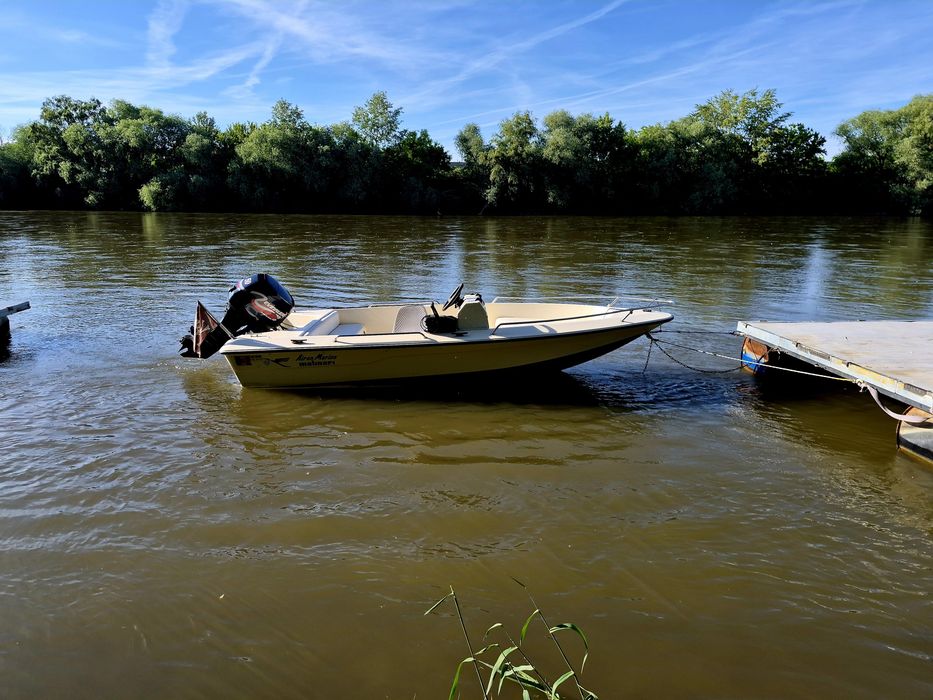 Barcă cu Motor Evinrude 50 Hp Molinari Airon Marine