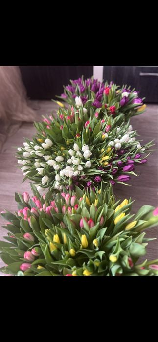 Тюльпаны предзаказ к 8 марта