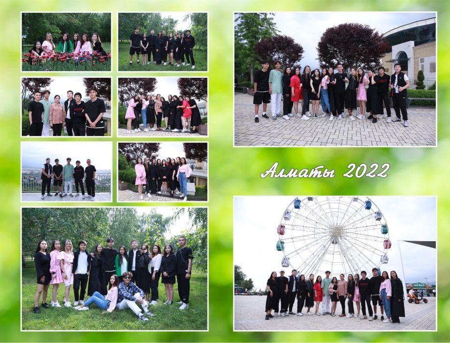 Виньетка Виньетки