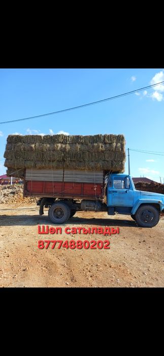 Шөп сатылады 200 штук