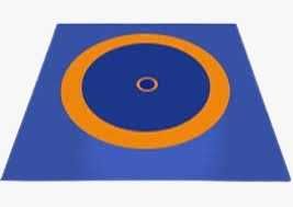 Борцовский ковер 6х6 м (с матами НПЭ 40мм)