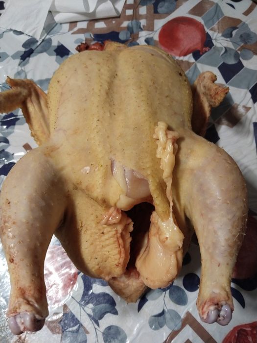 Продам домашнее  бролеры