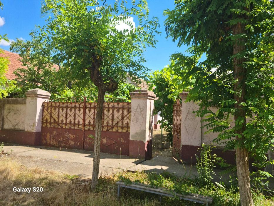 Casa cebza timisoara