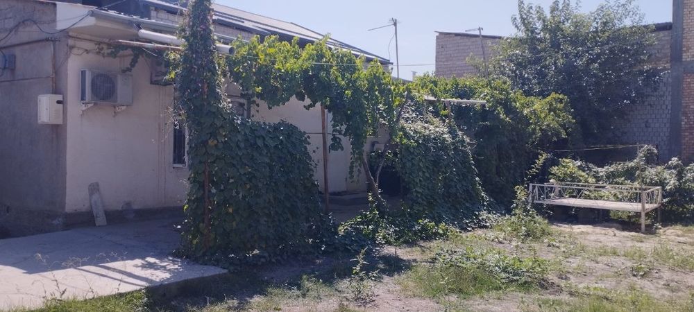 Yangihayot tumanida uchastka sotiladi