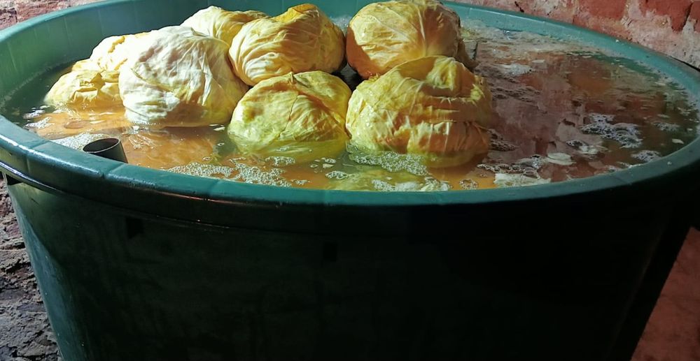 Vând varză murată