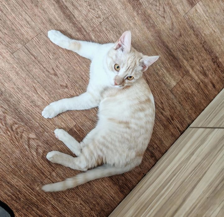 Мальчик 7 месяцев