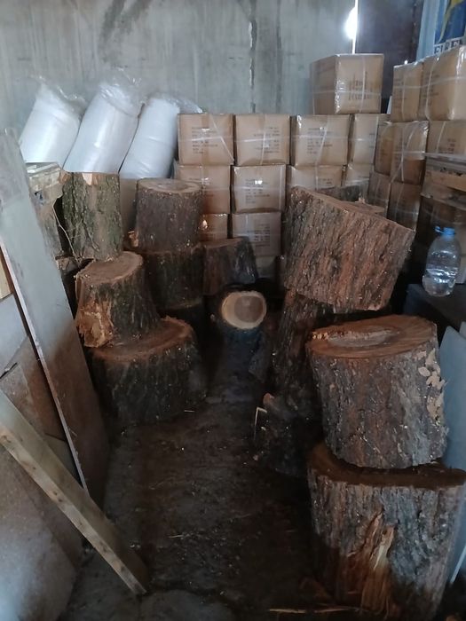 Дрова на шашлыки или топки