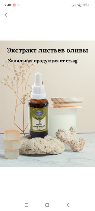 Ерсаг оливки экстракт сатилади