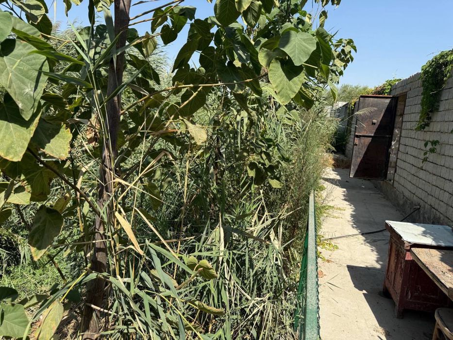 Nazarbek Toqmachida dacha sotiladi