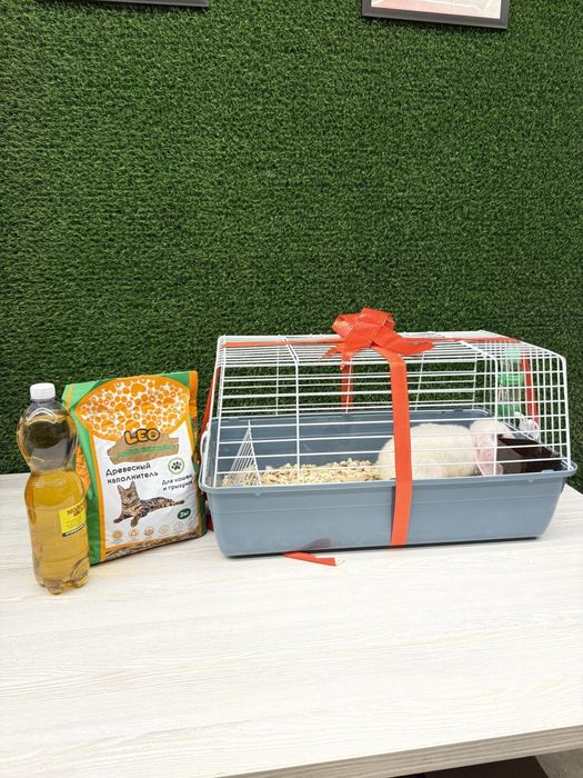 Quyon bolasi sovg'a uchun va maxsus qafas