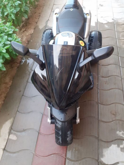 Dediski matasikil kam ucilgan holati idyal