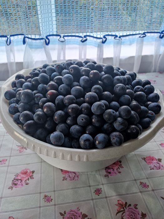 Продаю дачу в Михайловке, 12 соток