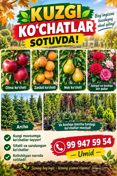 Barcha turdagi Kuchatlar bor kuzgi mavsumga Kuchatlar tayyor
