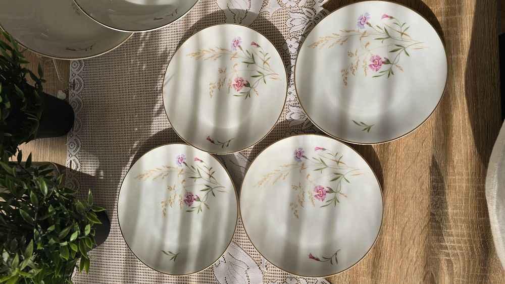 2 вида чинии Hutschenreuther