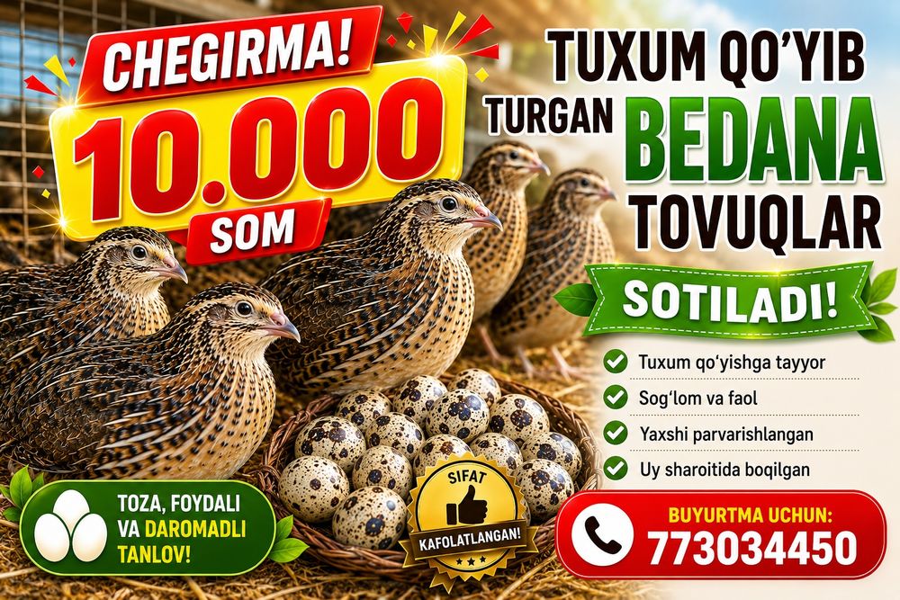 Bedana sotiladi toshkent