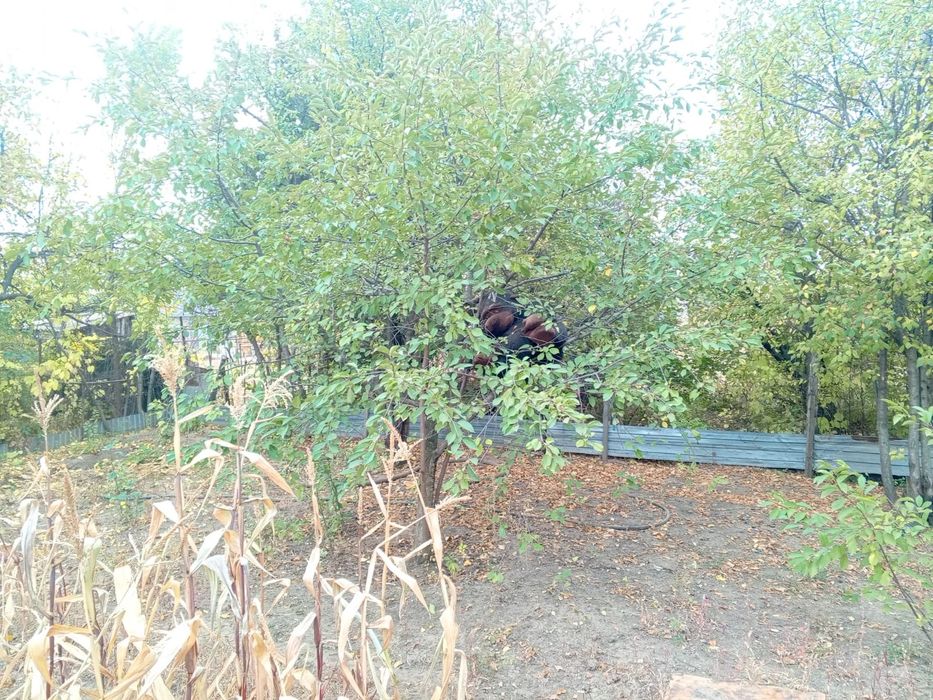 Продам дачный участок