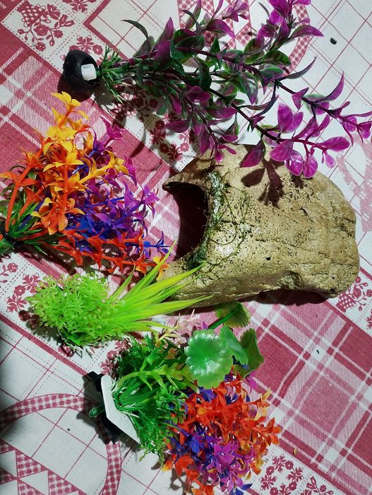 Аквариум комплект.