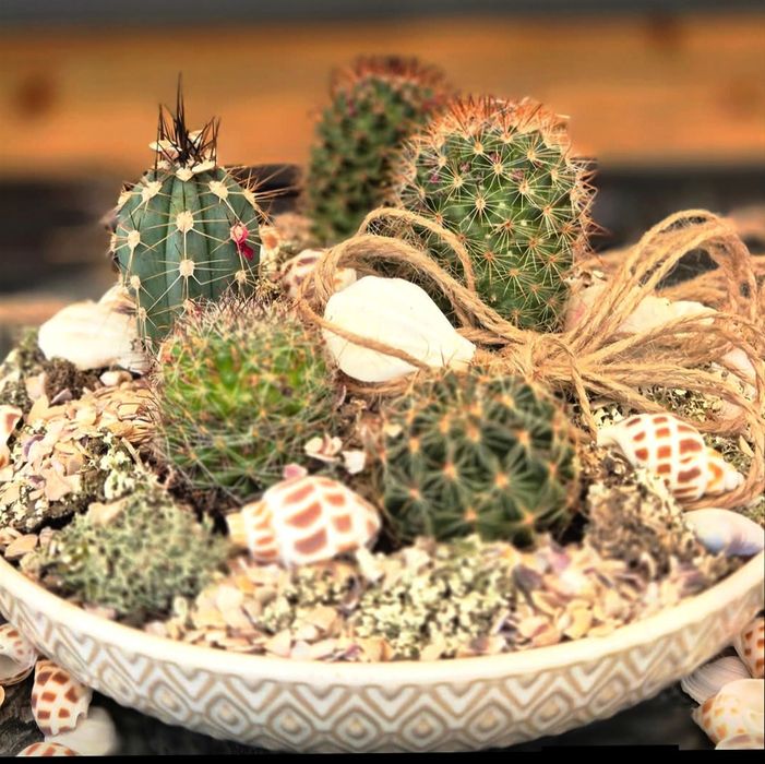 Екзотичен микс от цветя