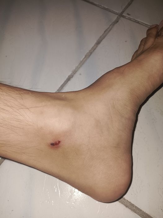 Сороконожки 41 р,  бу