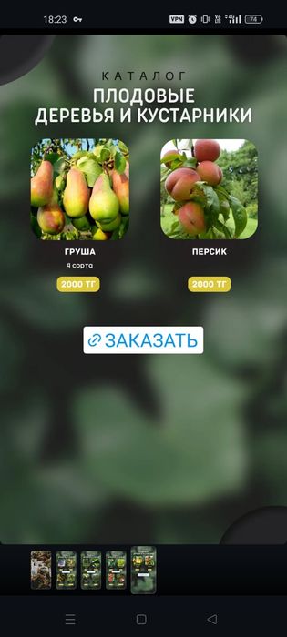 Плодовые деревья и кустарники