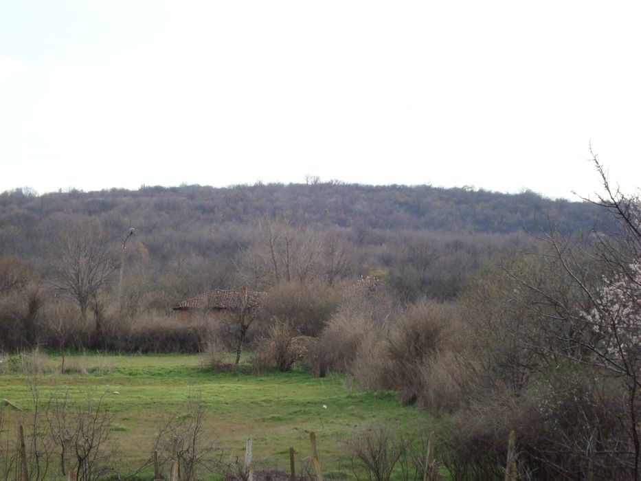 Продава се Къща в с. Мамарчево, Област Ямбол - 60 кв.м за 334 €/кв.м - Снимка #2