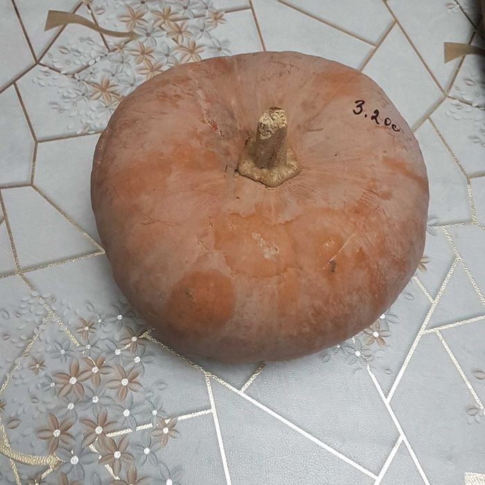 Продается сладкая сочная тыква