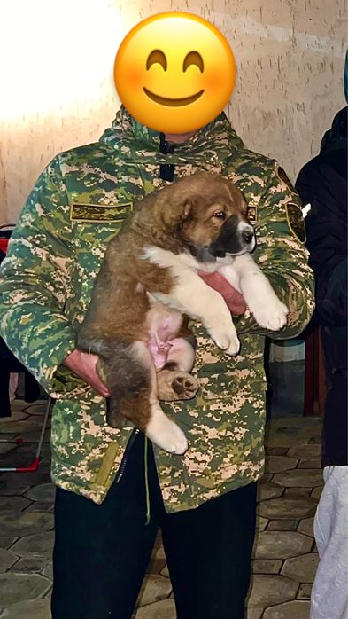 Тобет/алабай/сао