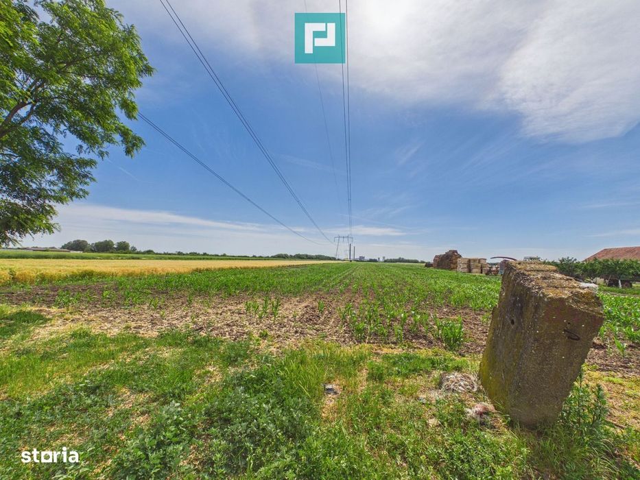 Teren extravilan 5000 mp, Arad