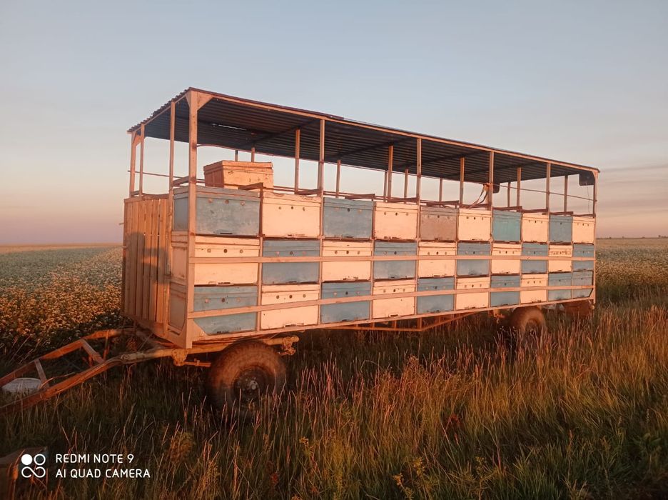 Пчелоприцеп прицеп