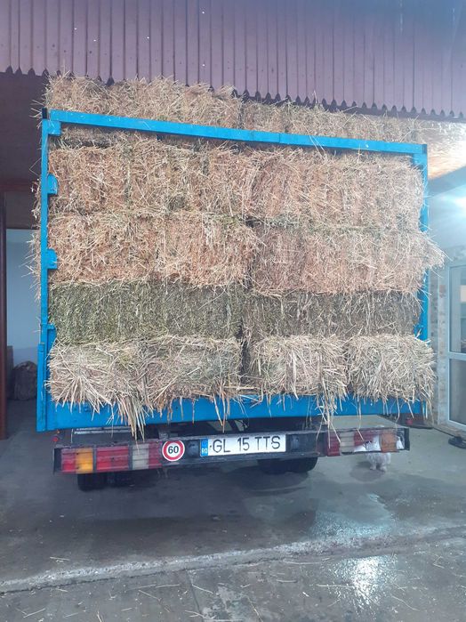 Vând baloți de lucernă cu iarbă