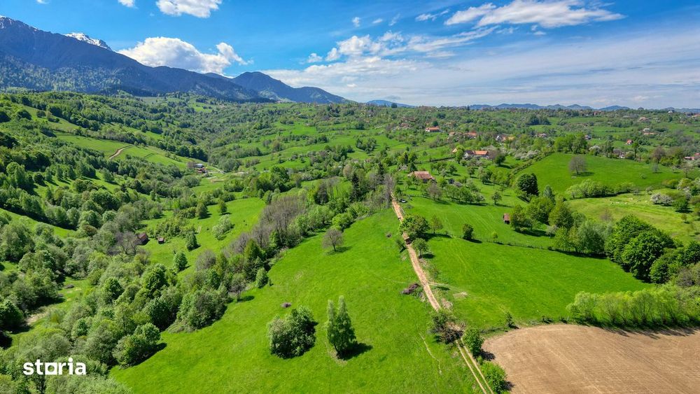 Teren extravilan 20.000 mp, zona Bran, vedere spre Munții Bucegi