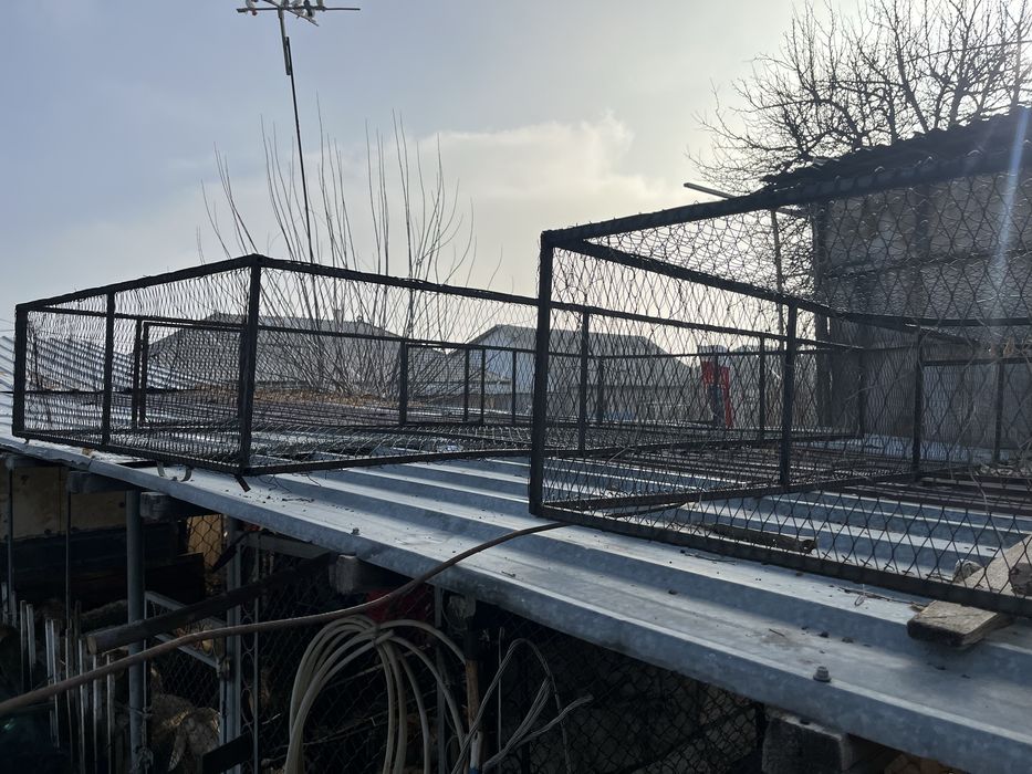 Продам садок для цыплят