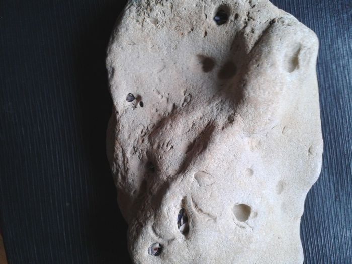 Аквариумна декорация