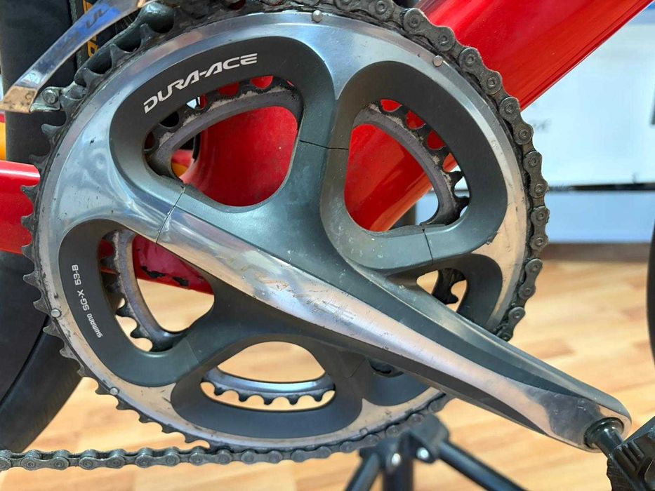 Cursiera Tifosi Auriga