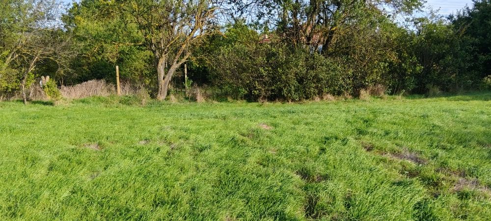 Парцел в регулация.