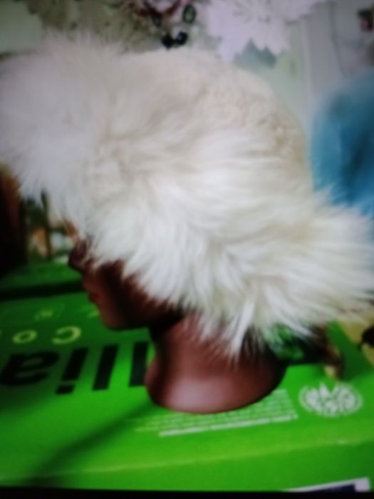 Caciuli blana naturala palarie  groasa ,bluze trening, costum trening,