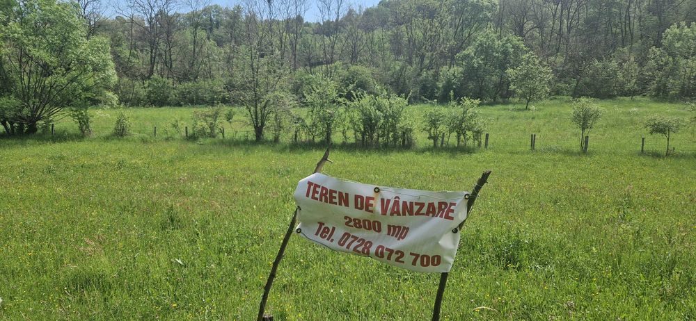 Vand teren intravilan pretabil constructie locuinta/cabana Brad-HD