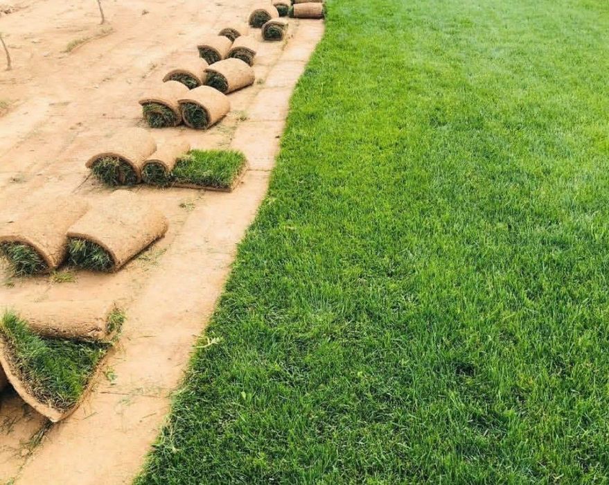 Gazon ekish va urug‘ sepish Gazon o‘rish Xizmati