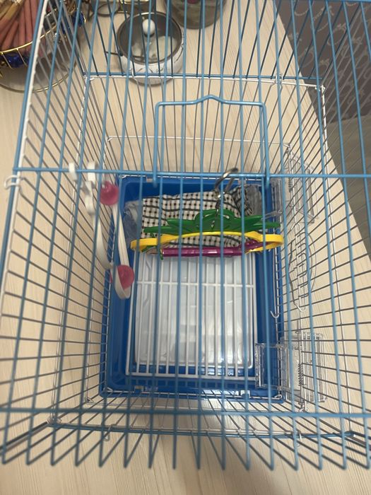 Продам клетку для попугая со всем содержимым