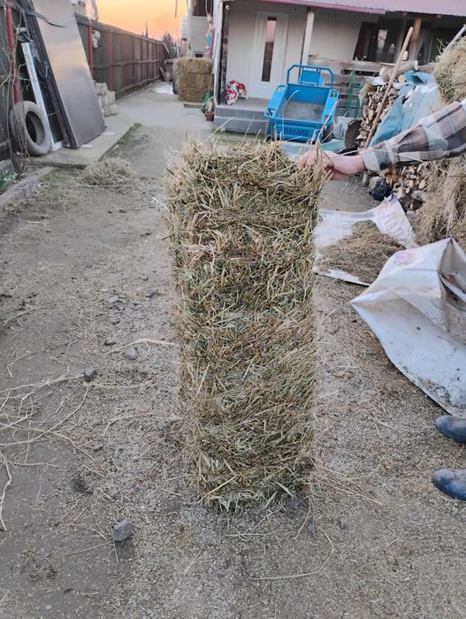 Vând baloți lucernă amestec cu fân