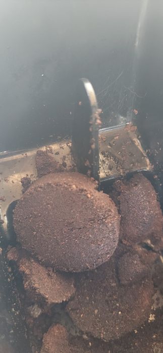 Expresor Aparat de cafea Delonghi magnifica S