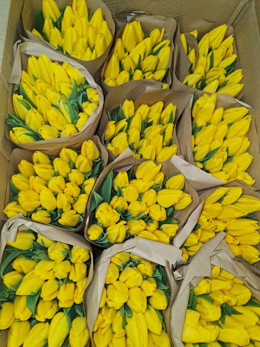 Тюльпаны большие с доставкой и бесплатной упаковкой