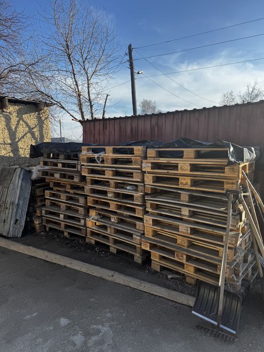 Продам евро поддоны новые