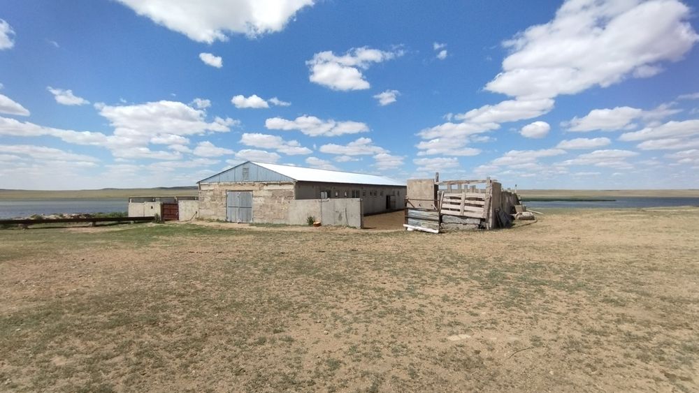 продам крестьянское хозяйство