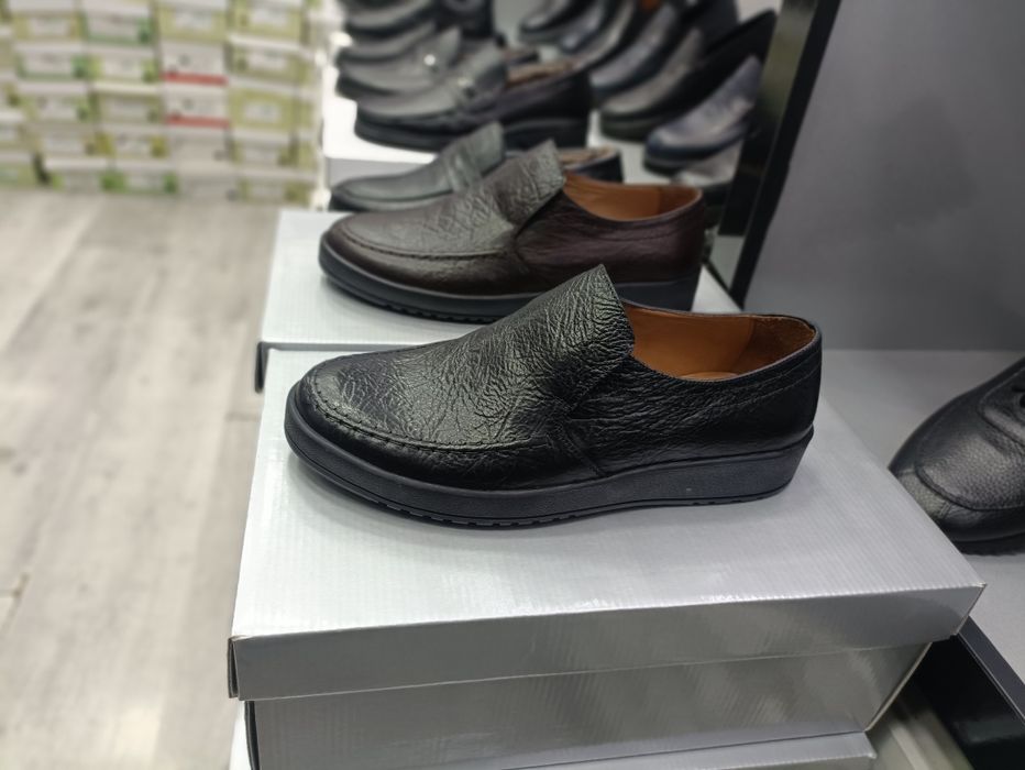 Саламандер качество проверено